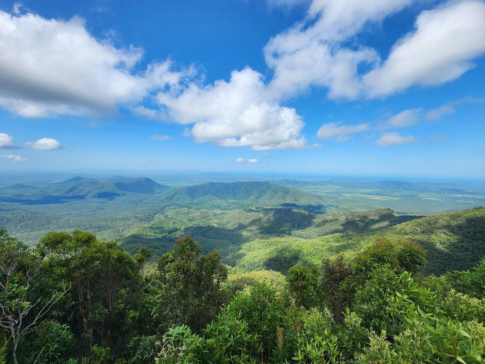 Cathu State Forest Lookout