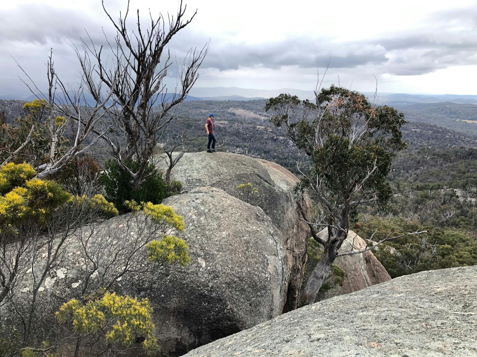 Turtle Rock