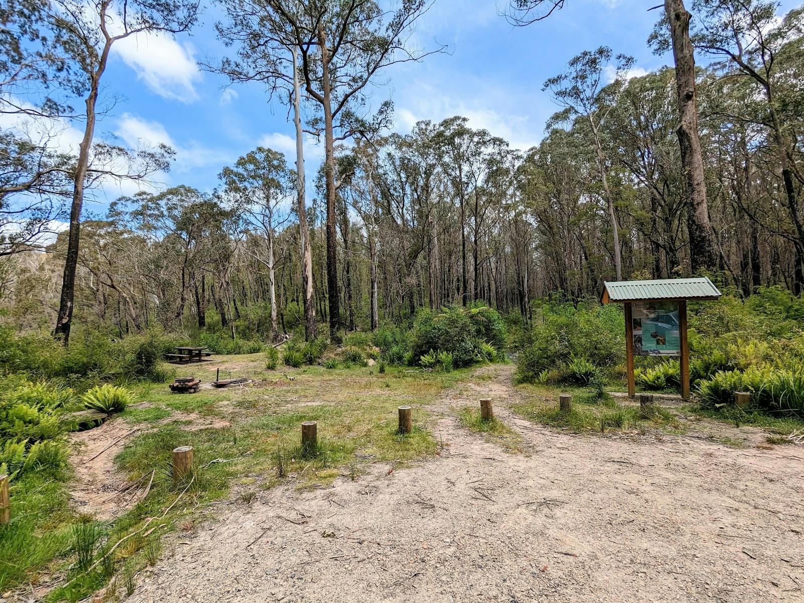 Corn Trail Walking Track