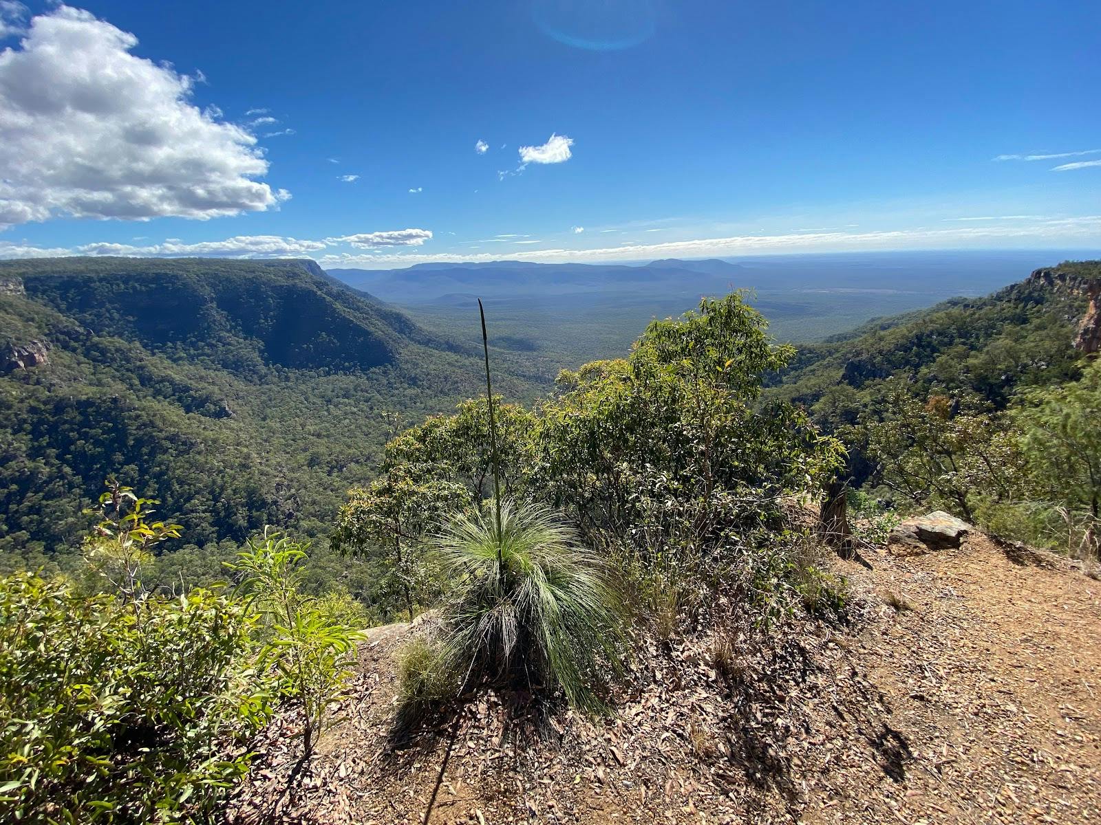 Horseshoe Lookout