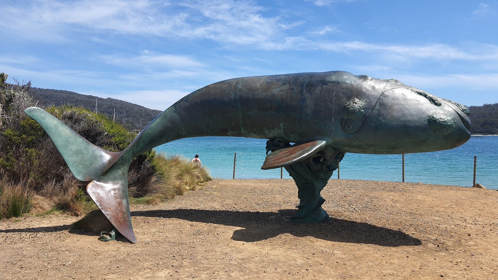 Whale Lookout