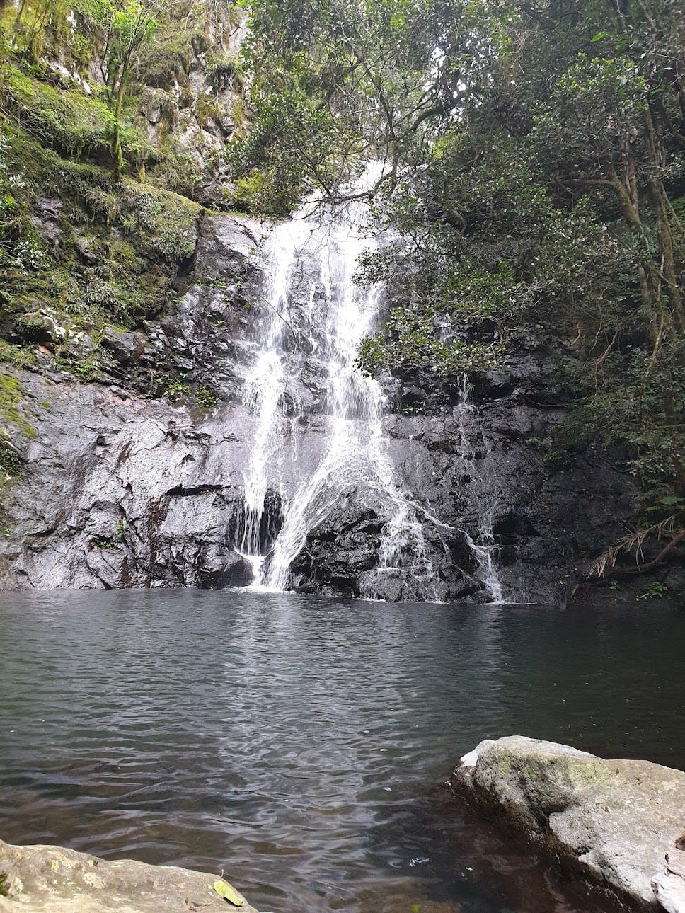 Araucaria Falls