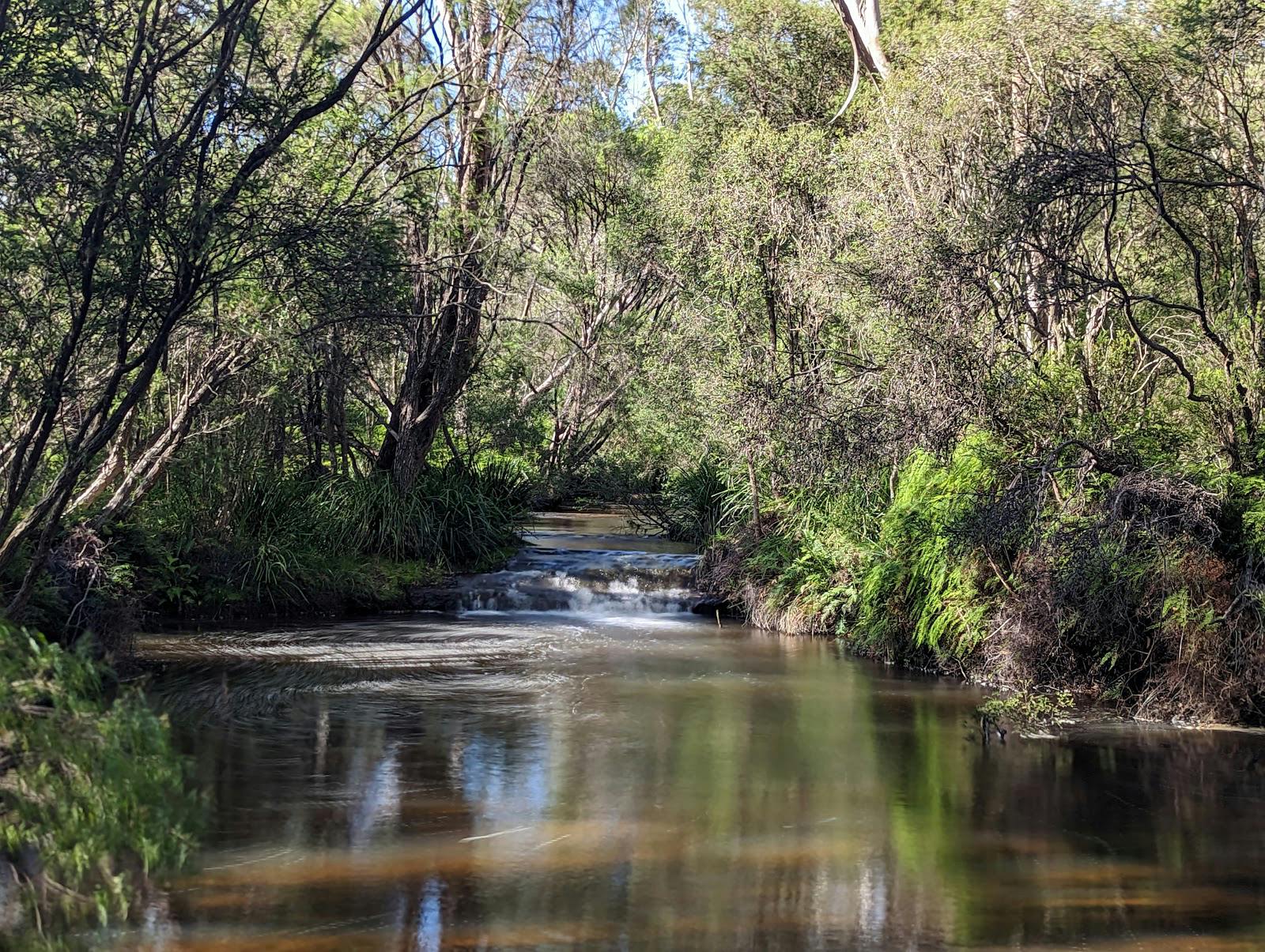 Blue Pool, Carrington Falls