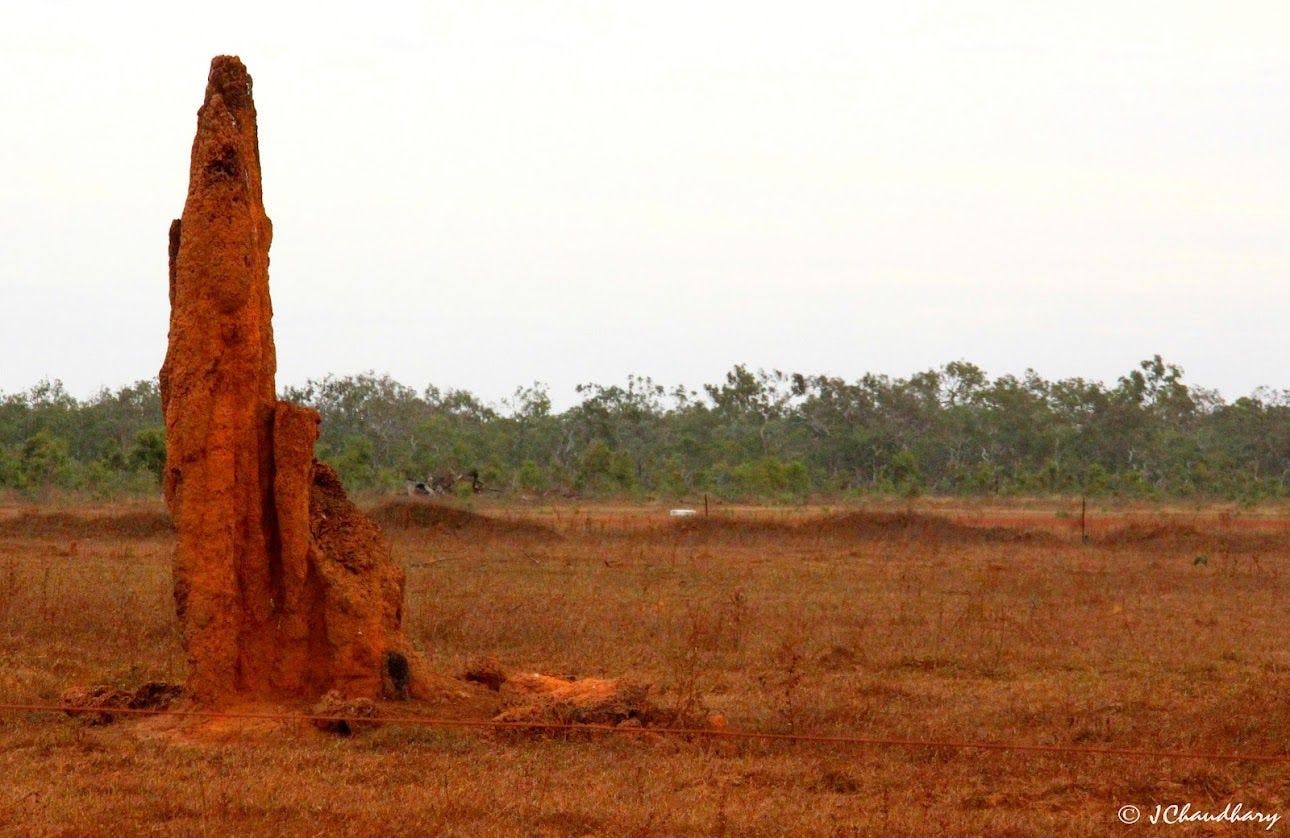 Batavia National Park