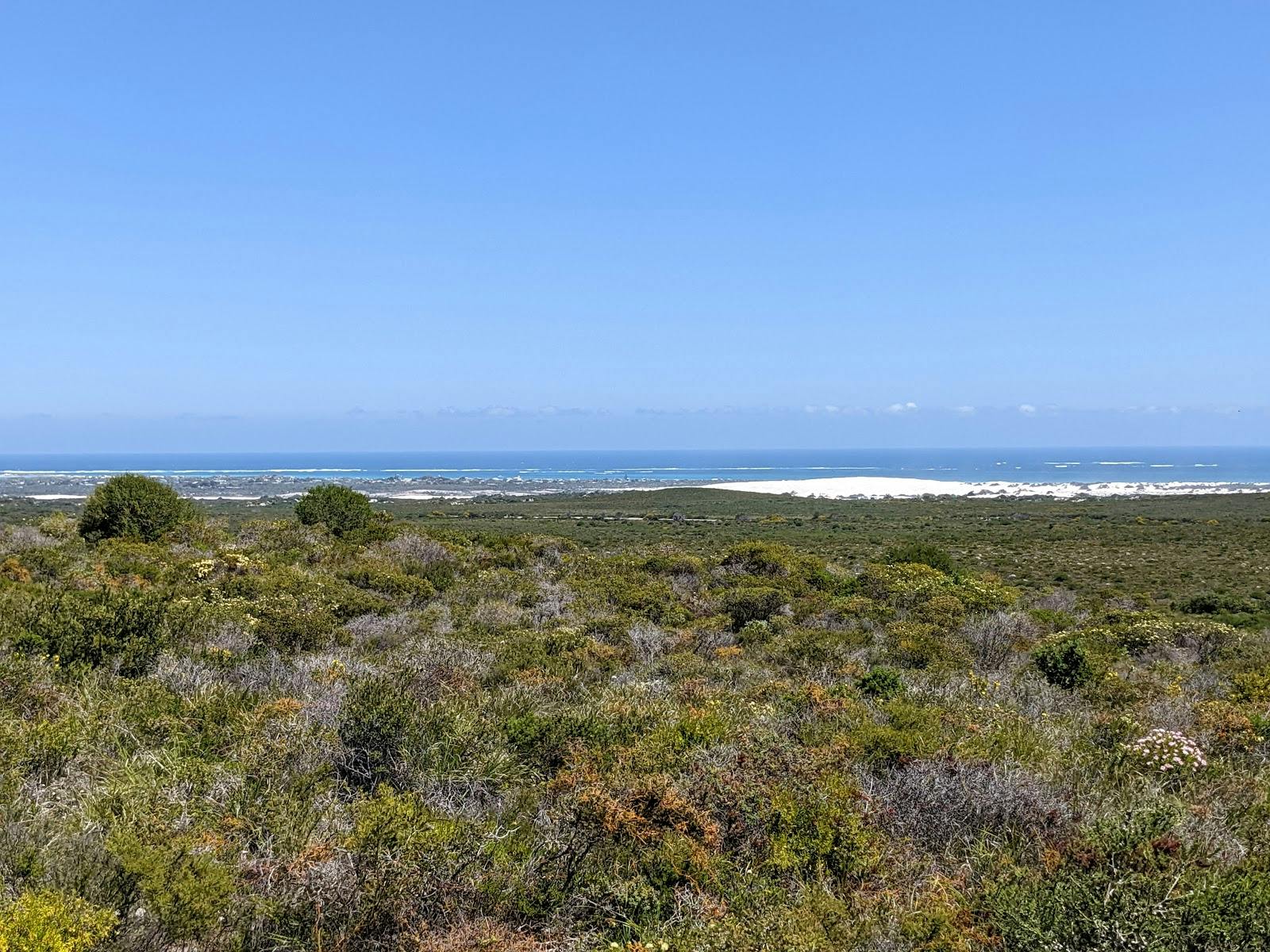 Wedge Lookout