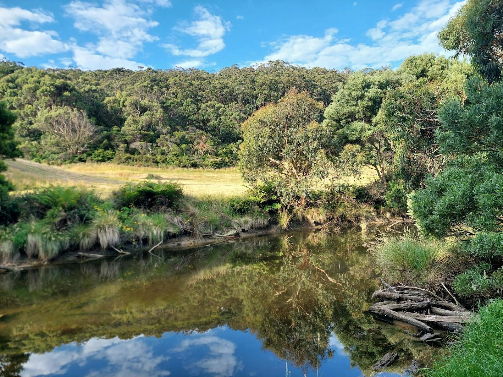 Kennett River Nature Walk