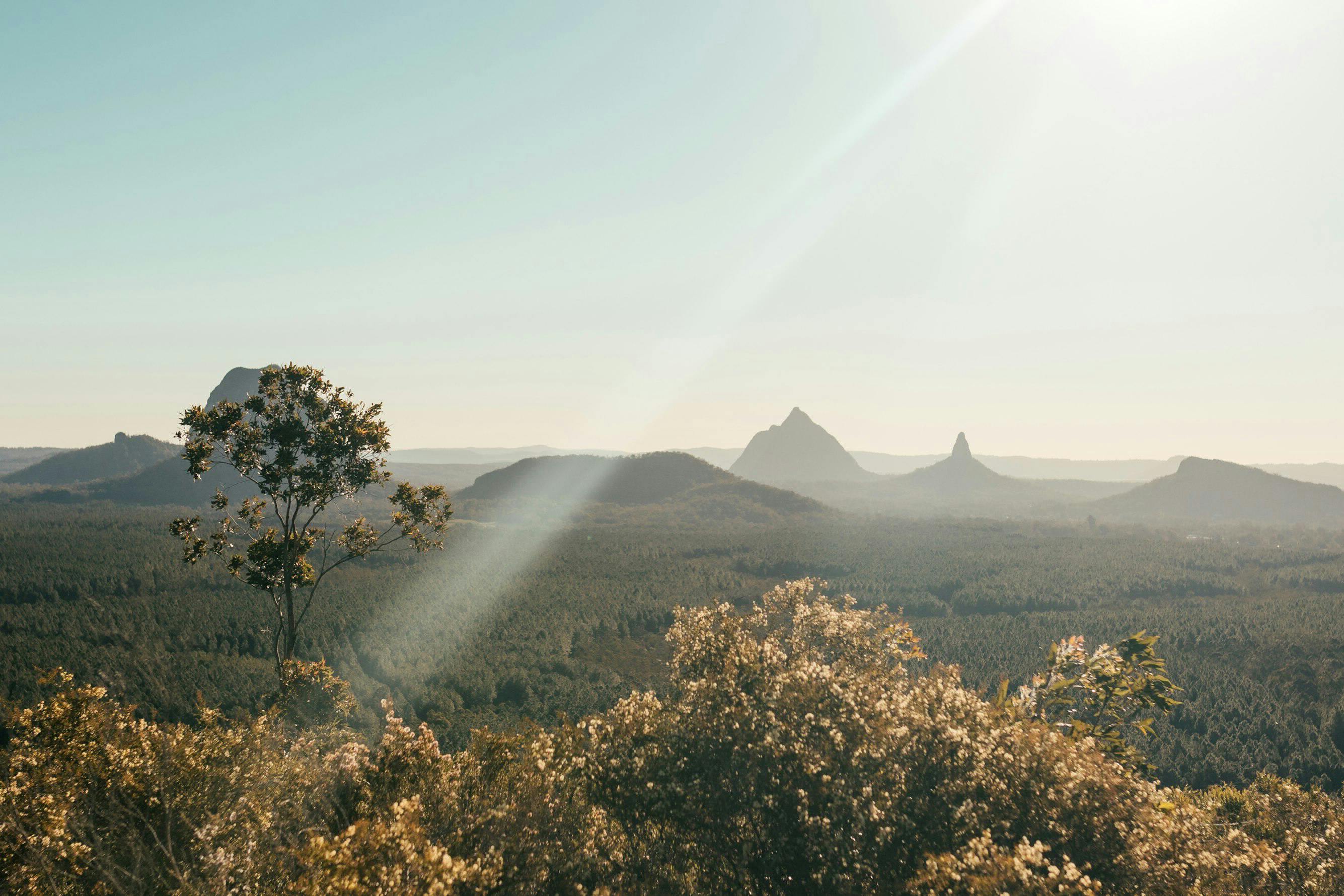 Glass House Mountains National Park