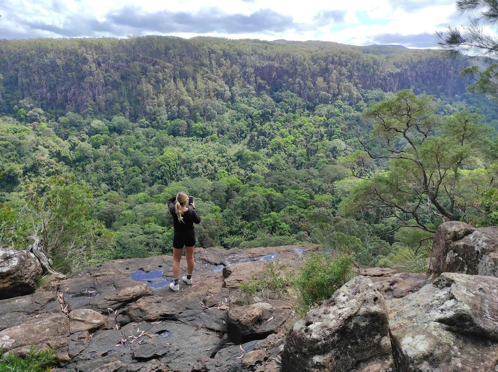 Goonengerry National Park