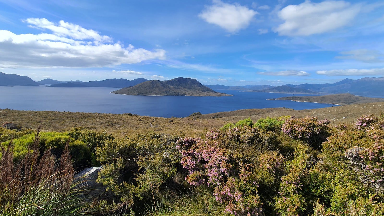 Red Knoll Lookout