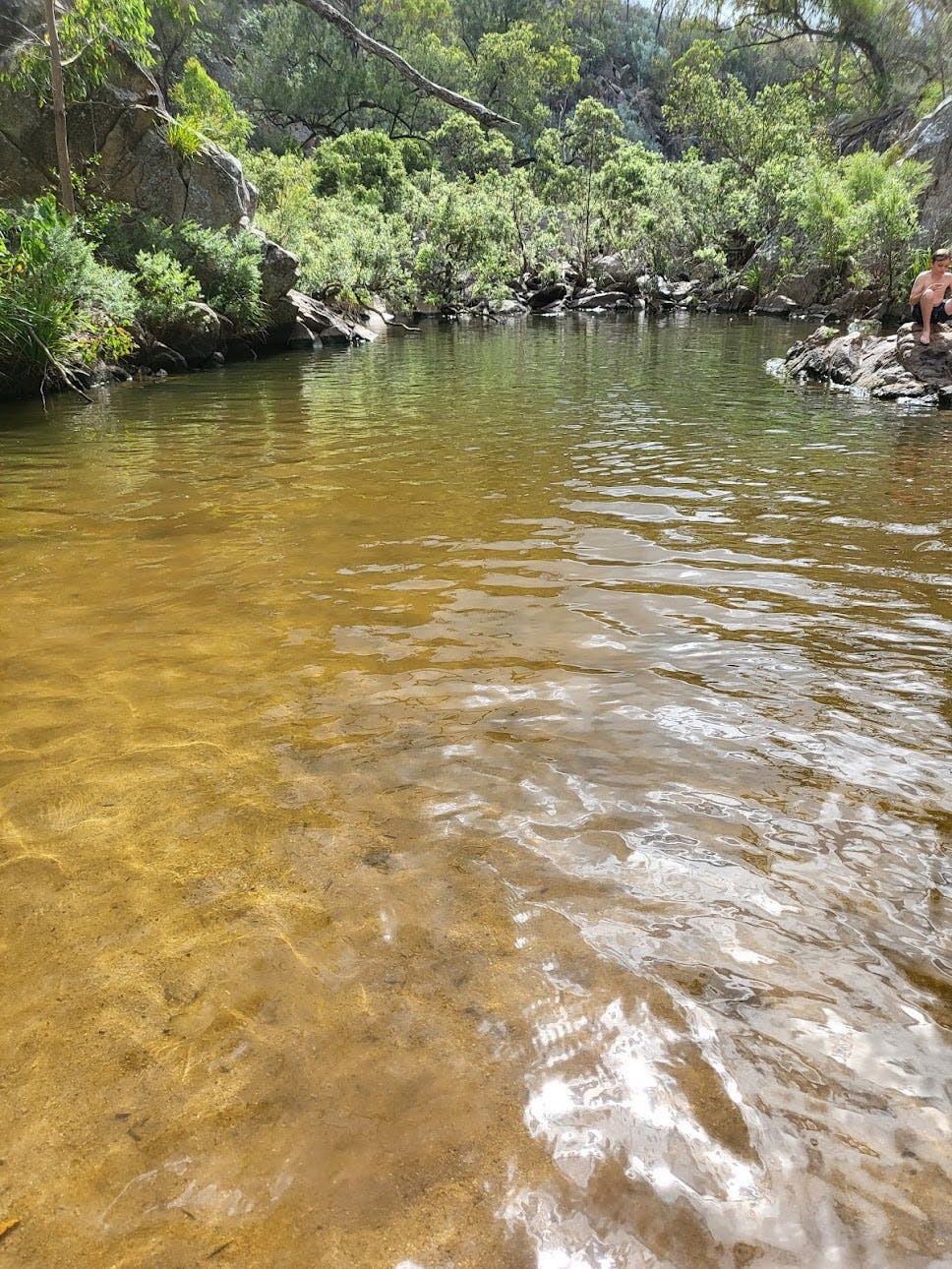 Bottlebrush Pool