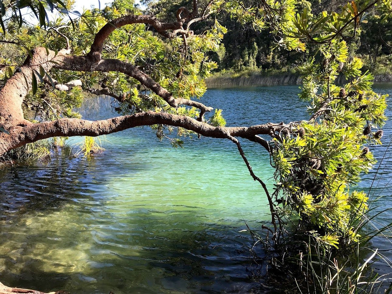 Naree Budjong Djara National Park