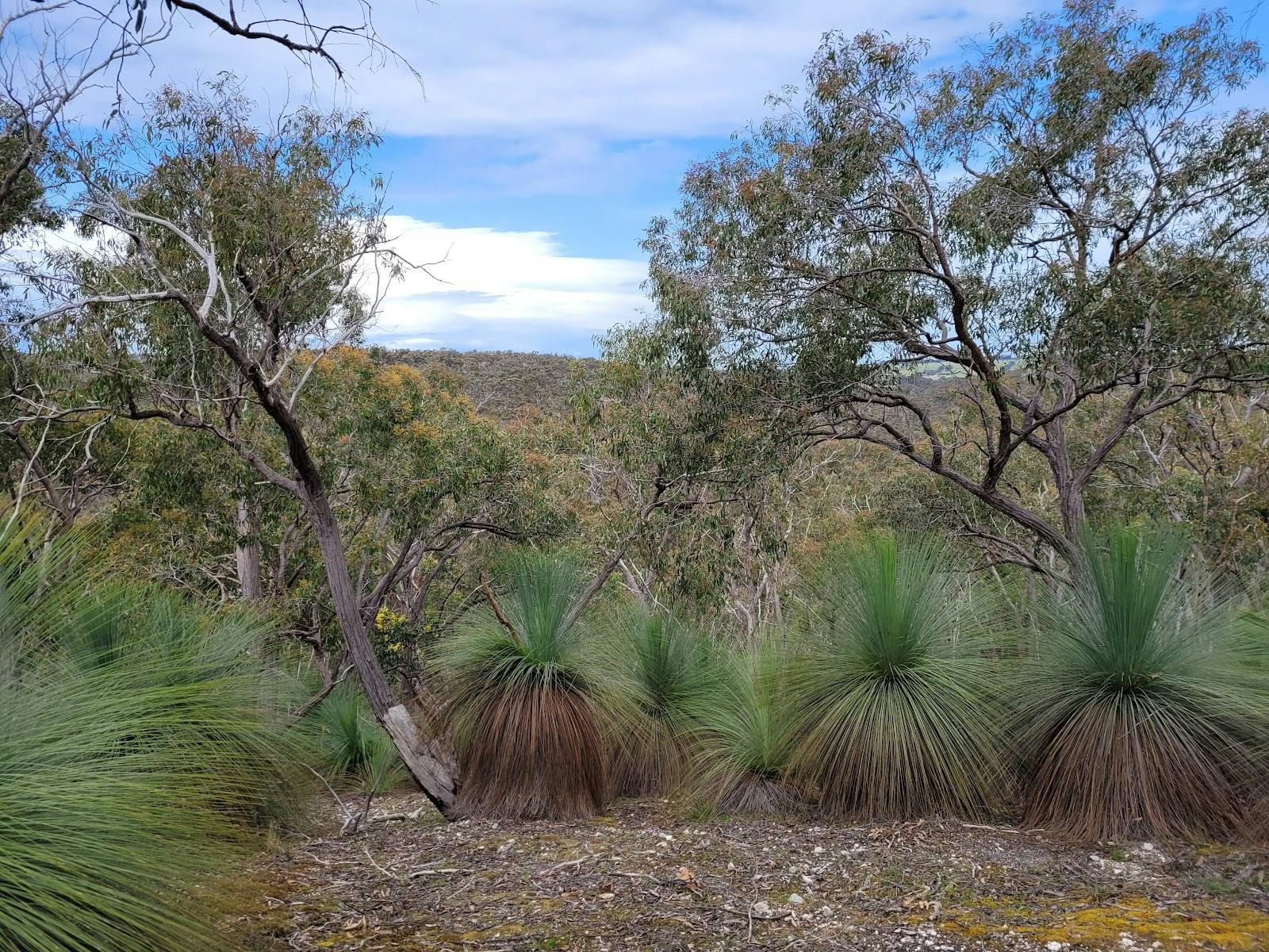 The Brisbane Ranges National Park