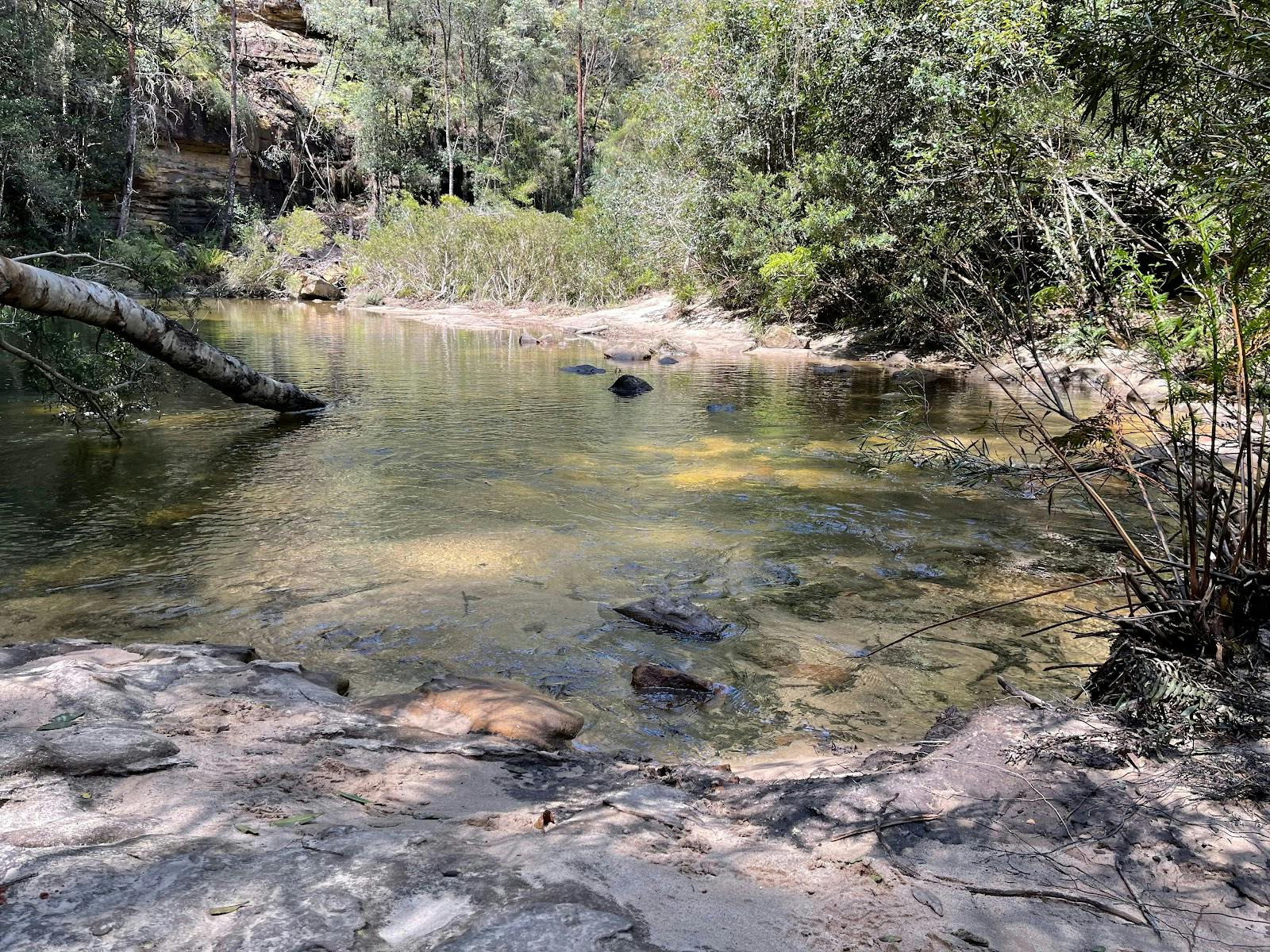 Bedford Pool