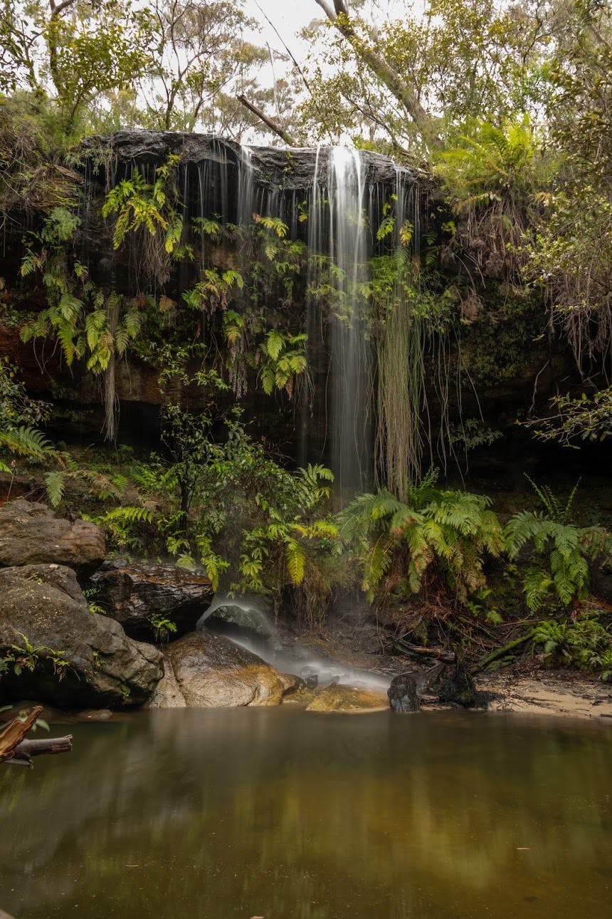 Mabel Falls