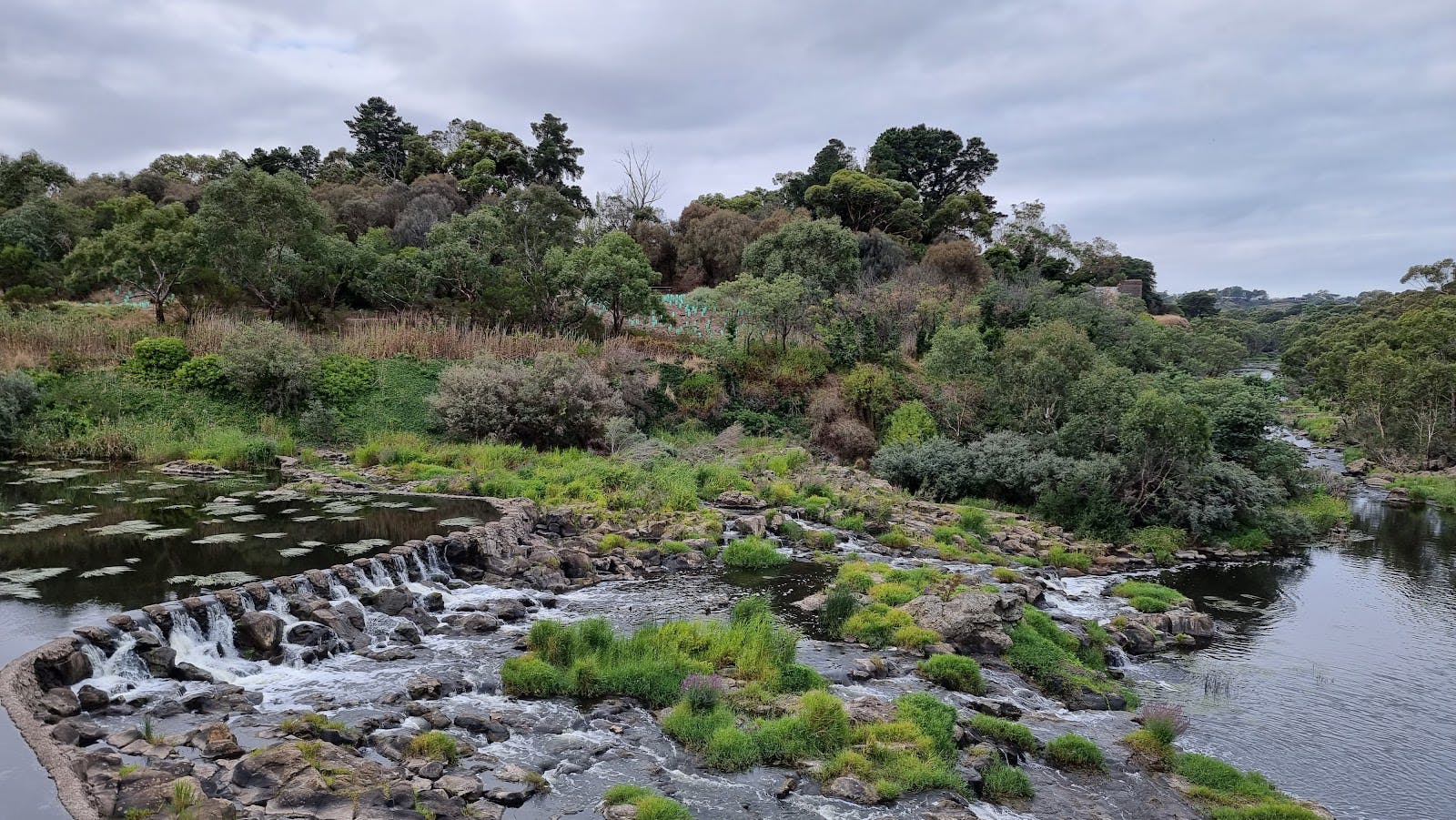 Buckley Falls Lookout