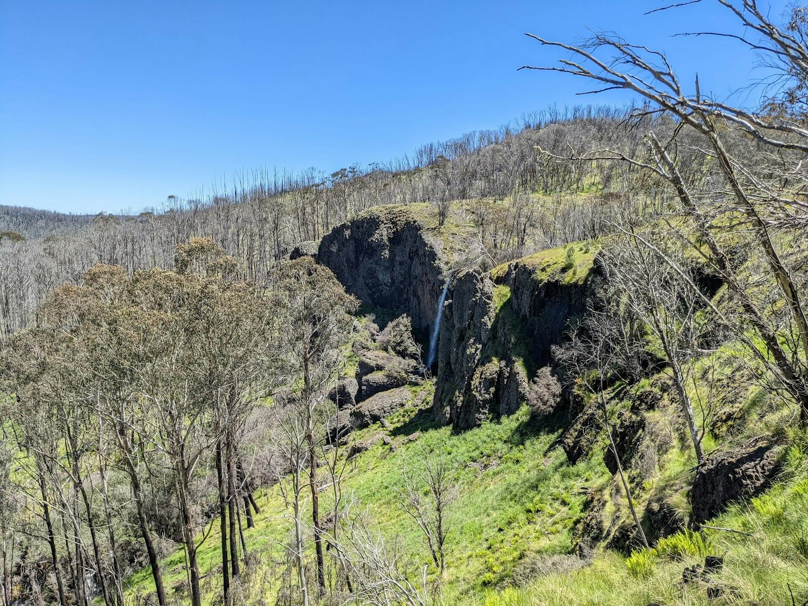 Carmichael Falls