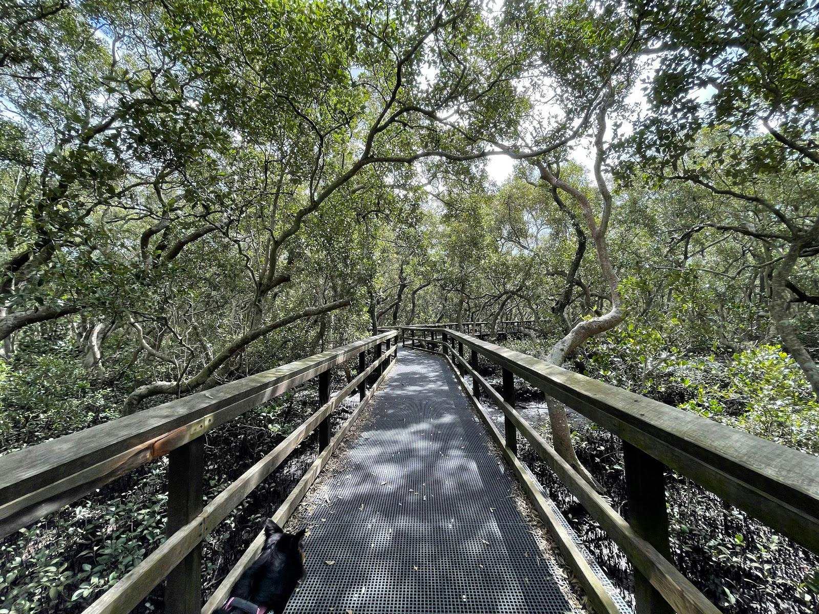 Wynnum Mangrove Boardwalk