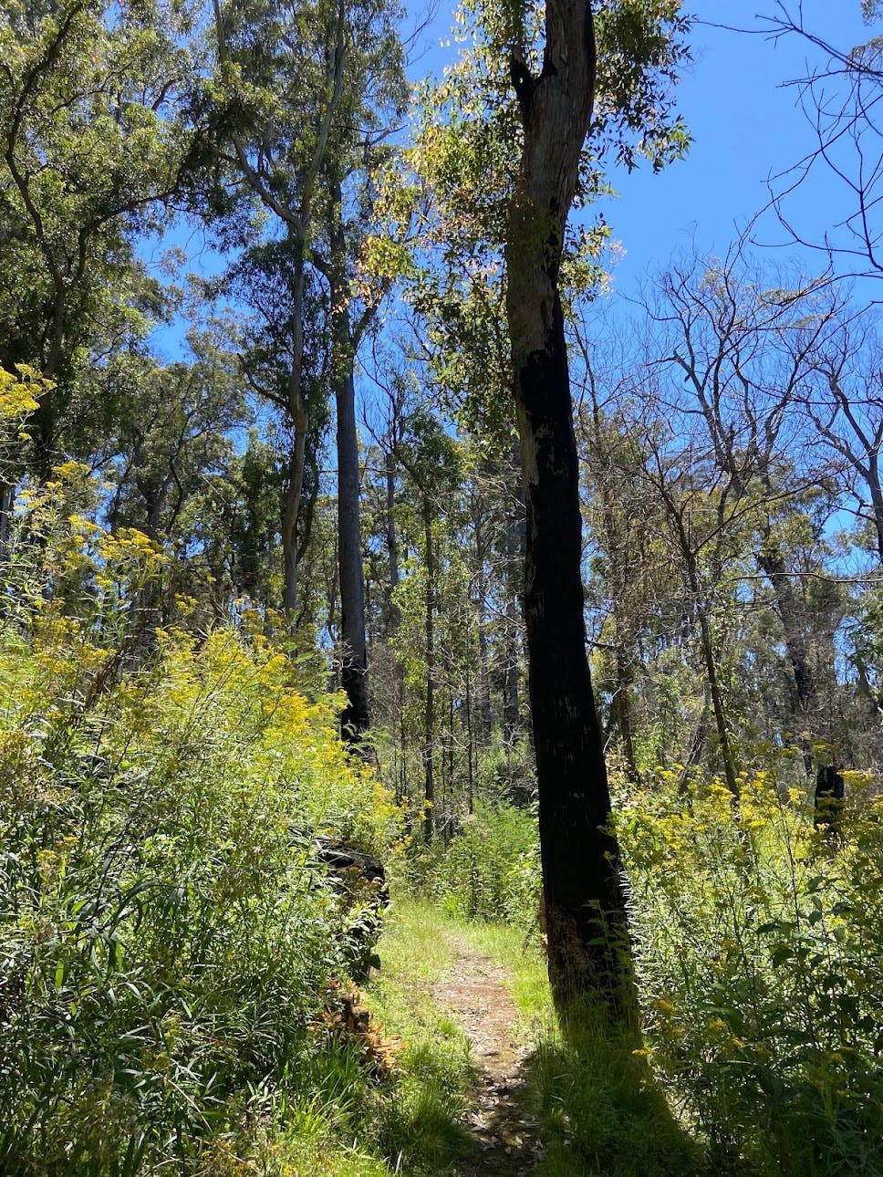 Double Creek Nature Walk