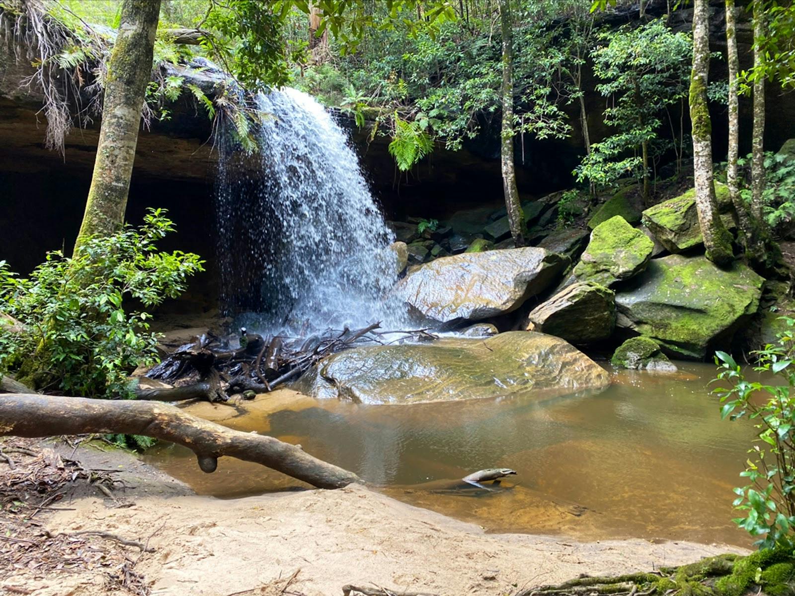 Oakland Falls