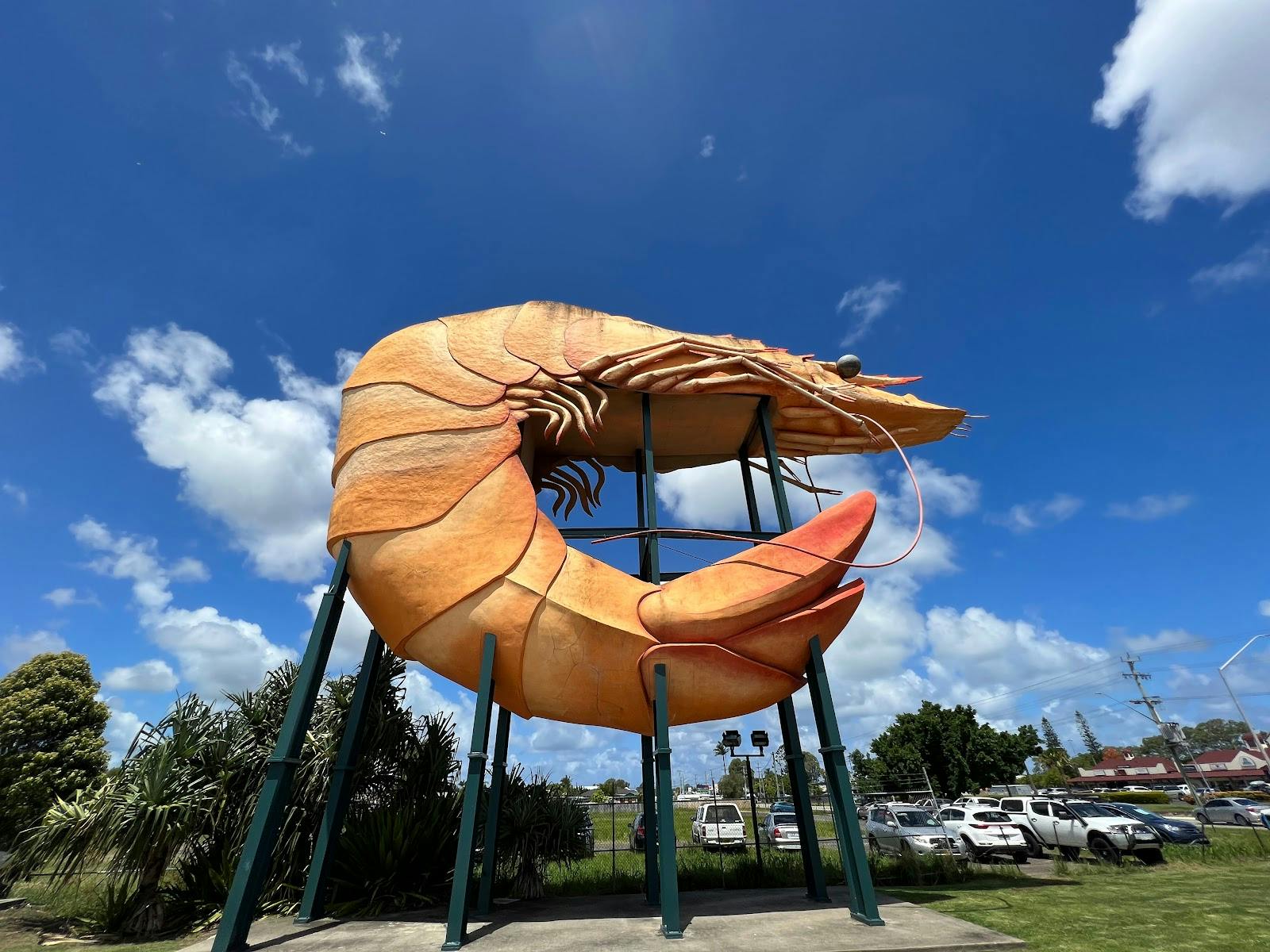 The Big Prawn