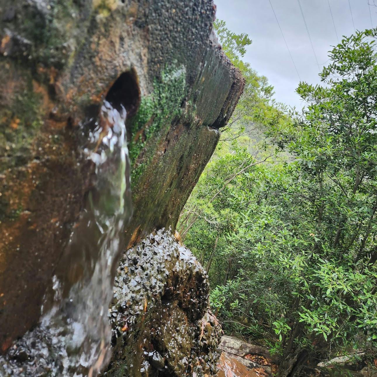 Woy Woy Waterfall Pool