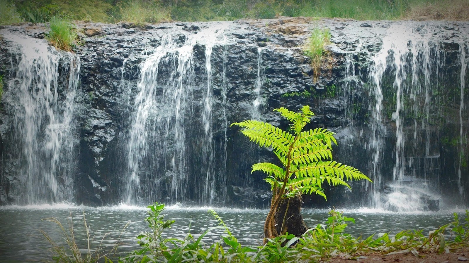 Tosha Falls