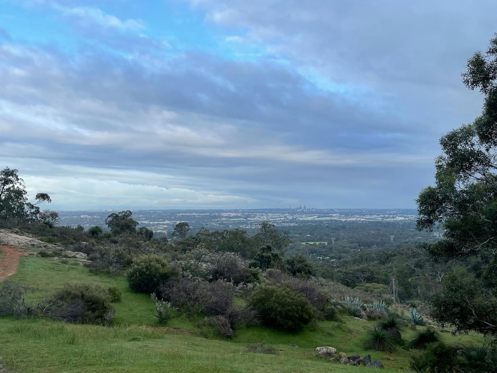 Lions Lookout