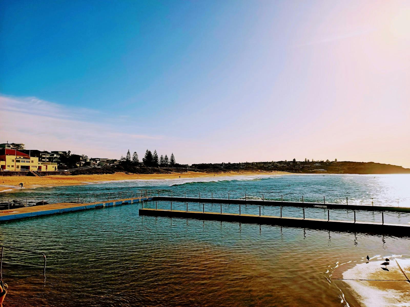 South Curl Curl Rockpool