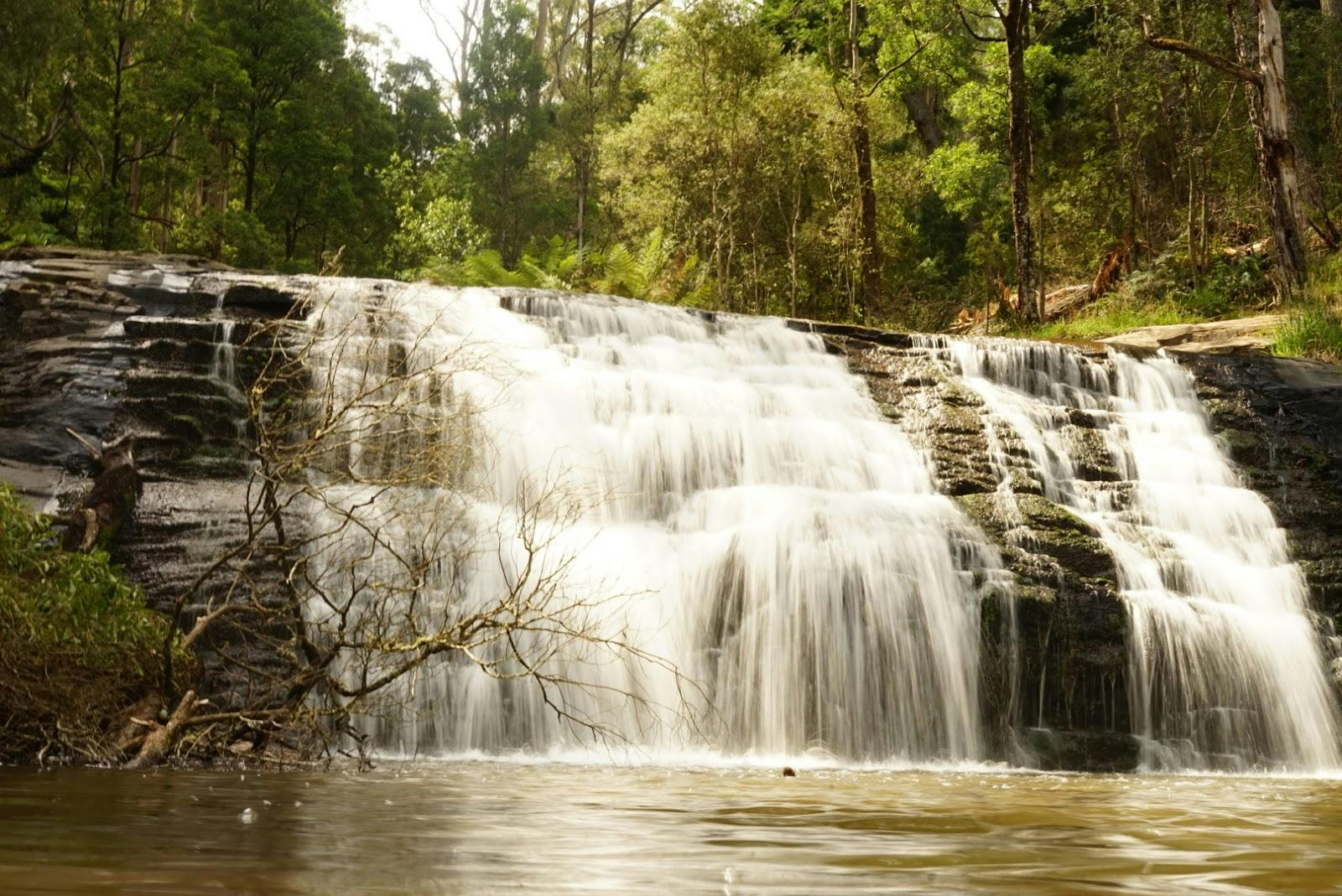 Morwell River Falls Reserve