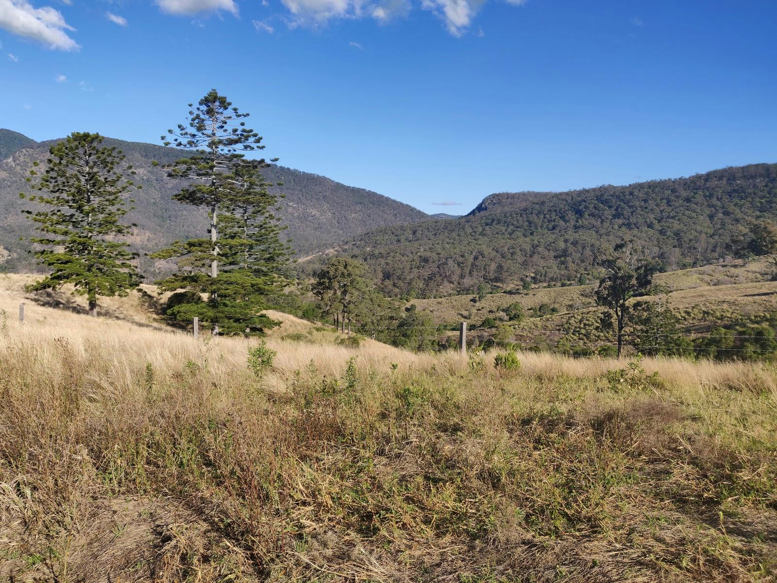 Tiny’s Lookout