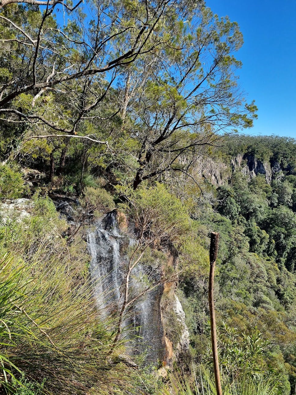 Bilbrough Falls