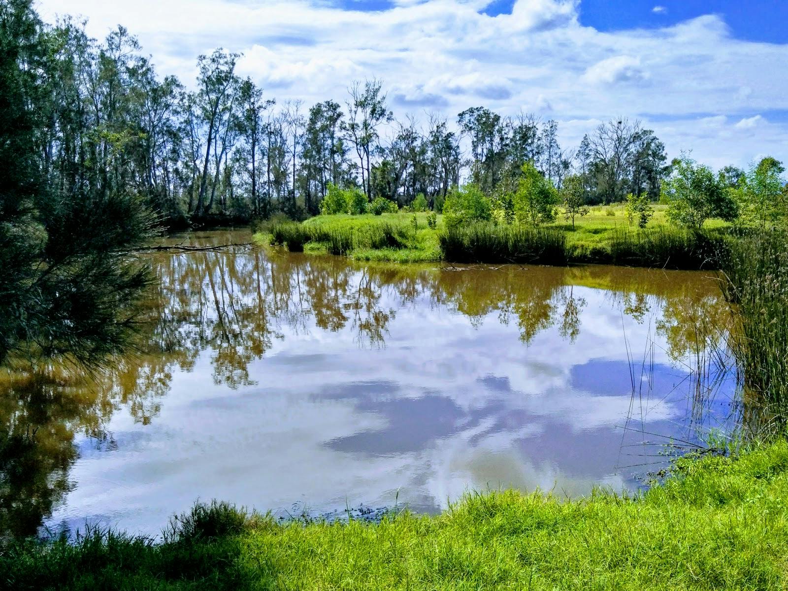 Everlasting Swamp National Park