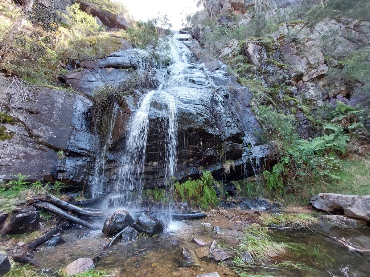 Clematis Falls