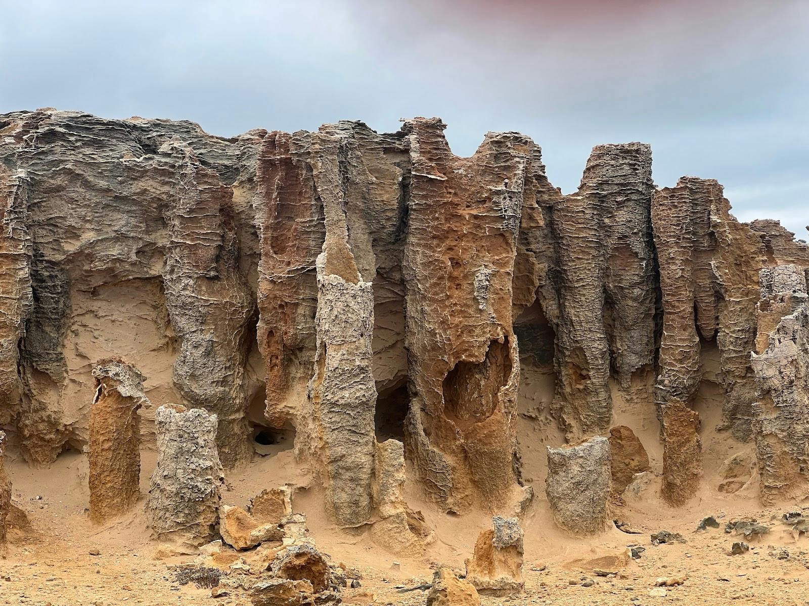 Petrified Forest