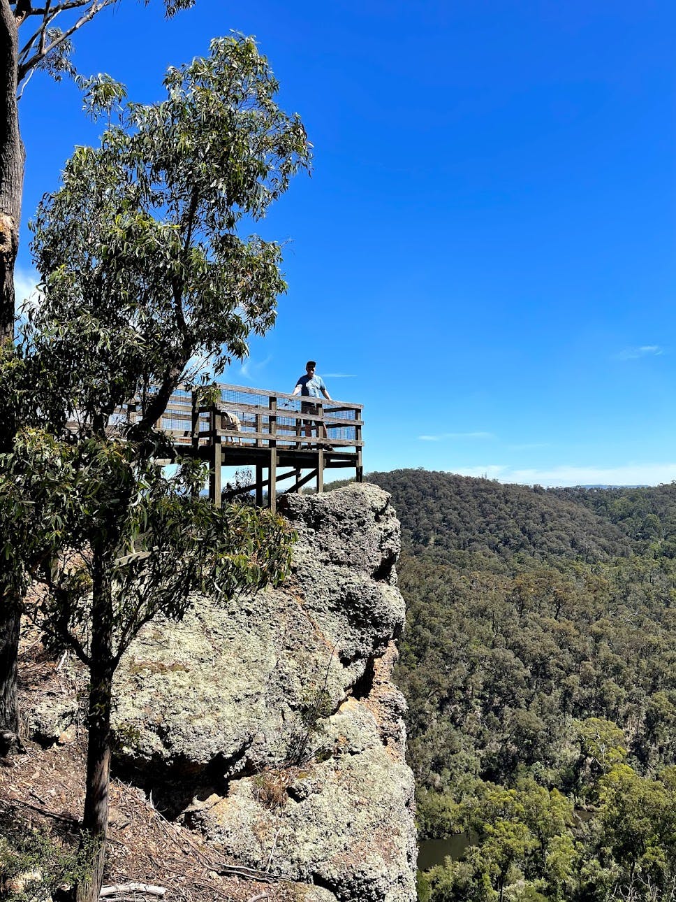 Peterson's Lookout