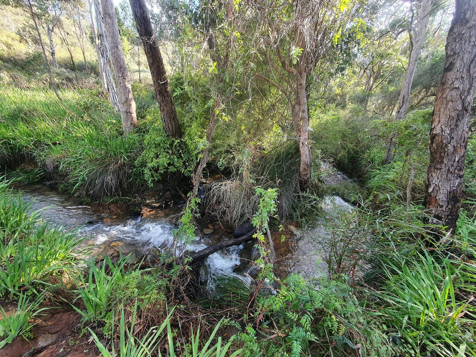 Whistlepipe Gully Trailhead (West)