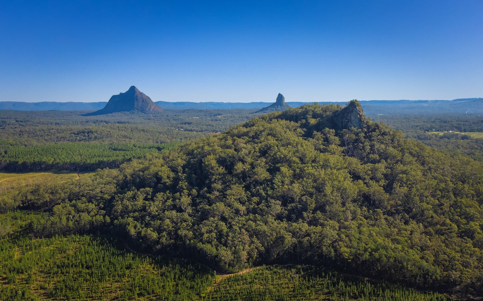 Jack Ferris Lookout