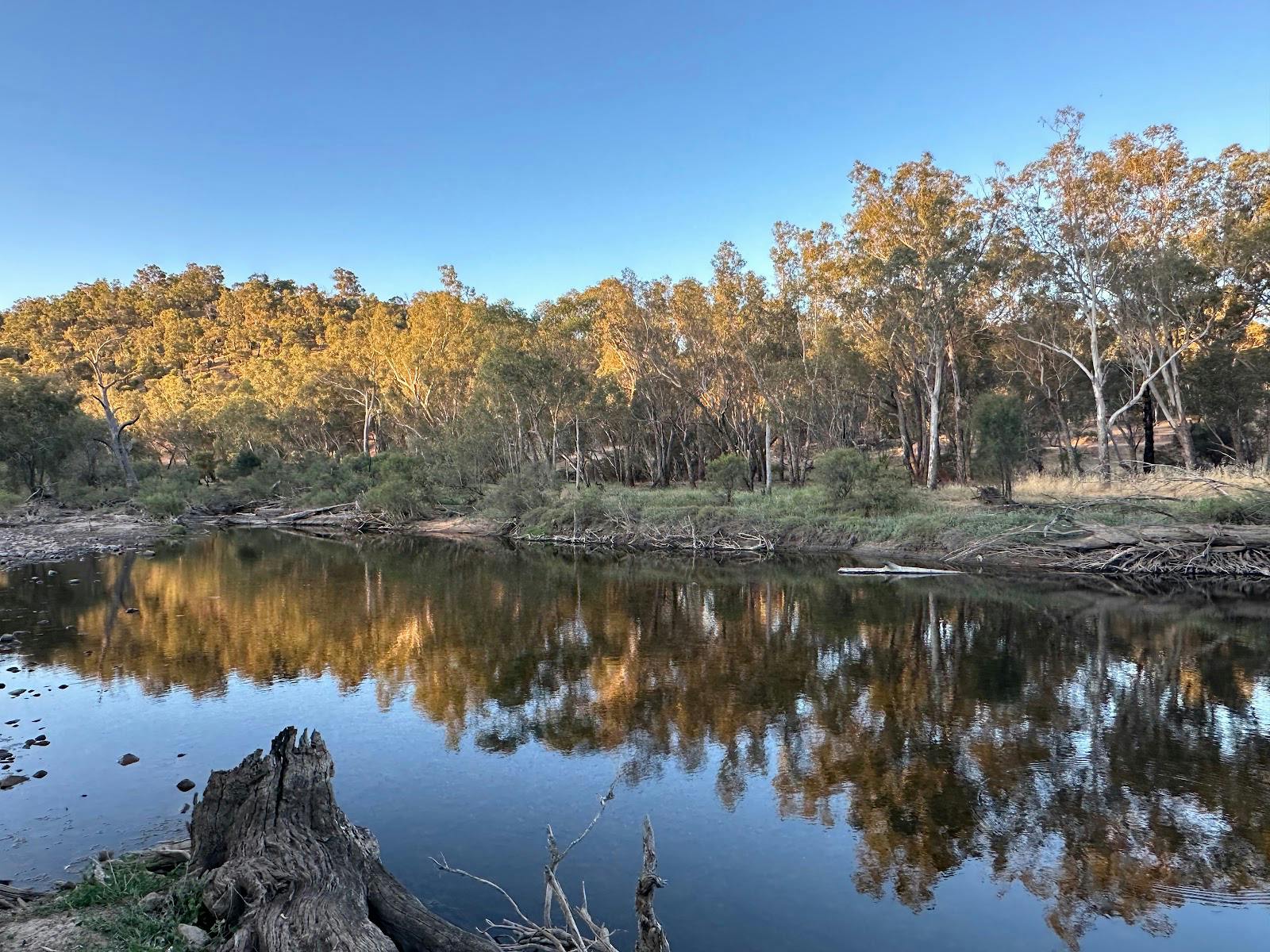 Cobbler Pool