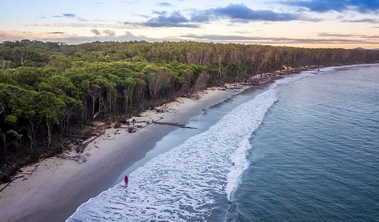 Bundjalung National Park