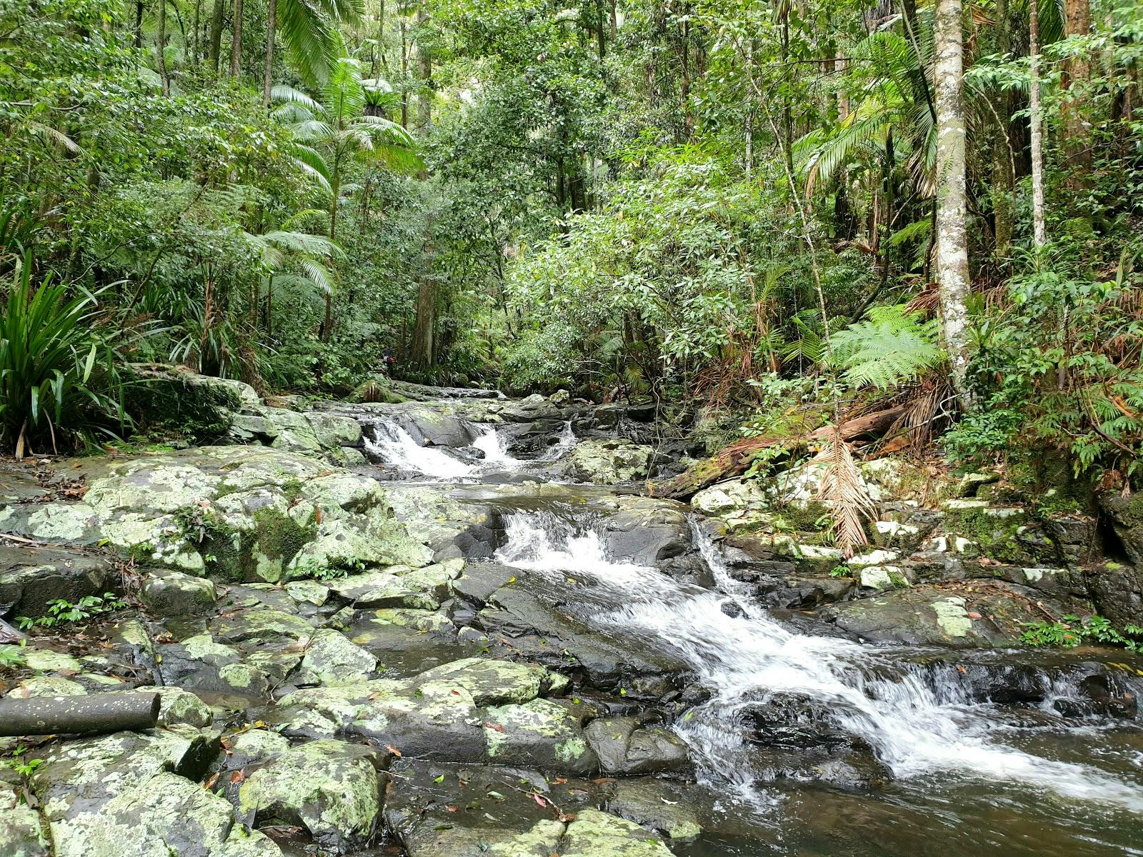 Protesters Falls