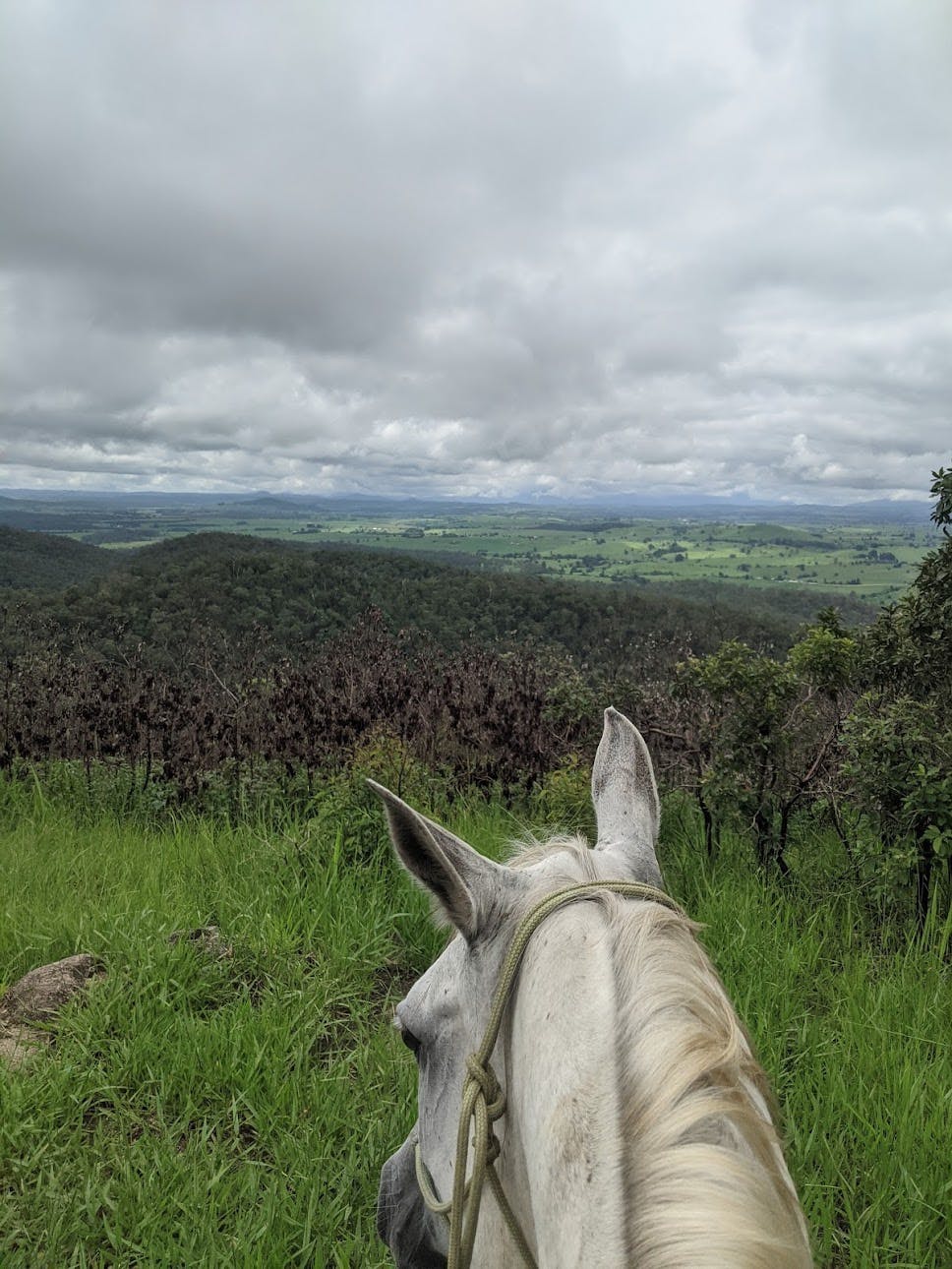 Drovers Lookout