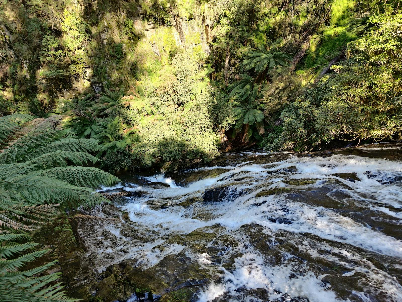 Tarra Falls