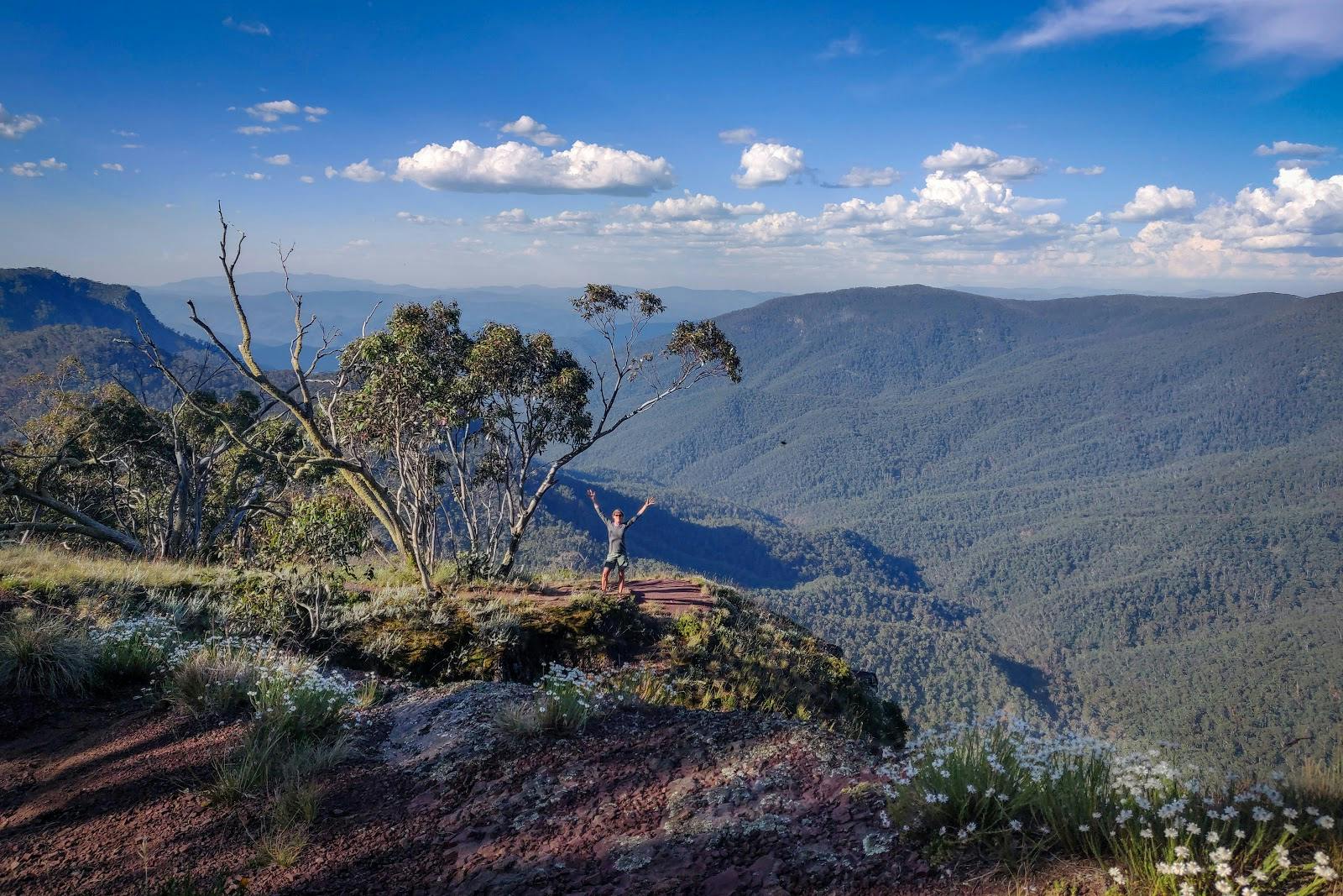 Dimmicks Lookout