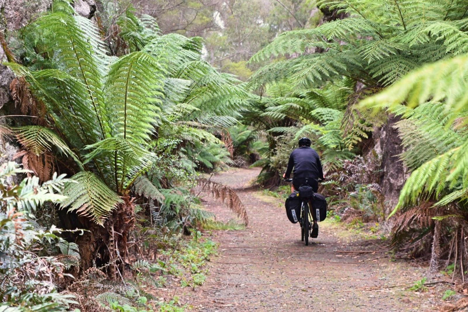 North East Rail Trail