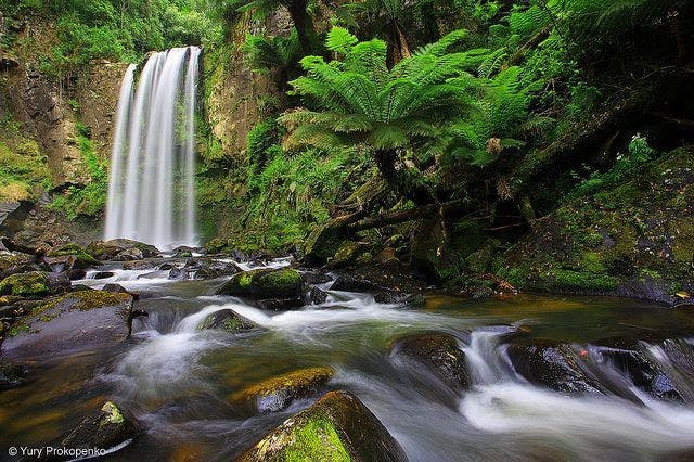 Great Otway National Park