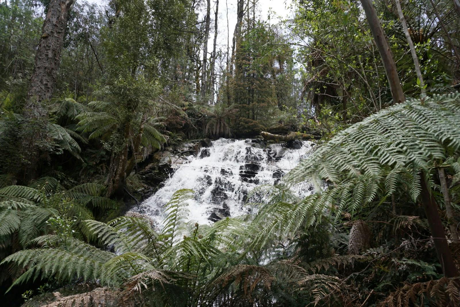 Cora Lynn Falls