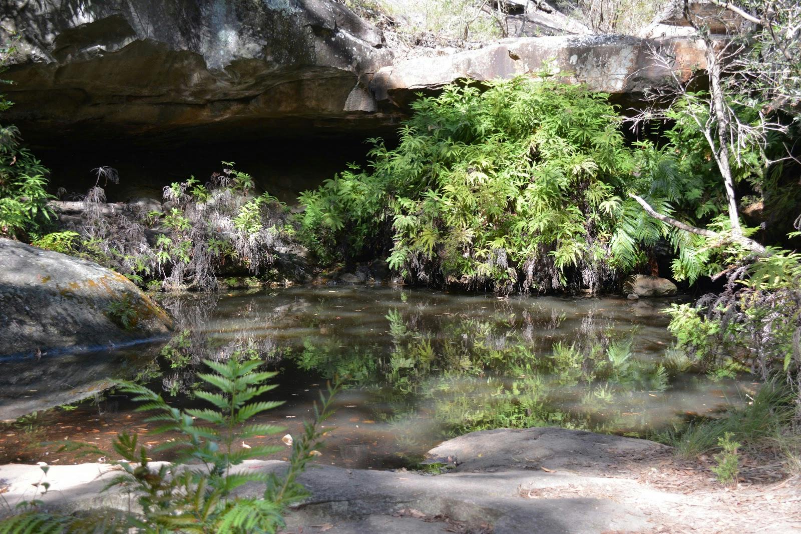 Fern Tree Pool