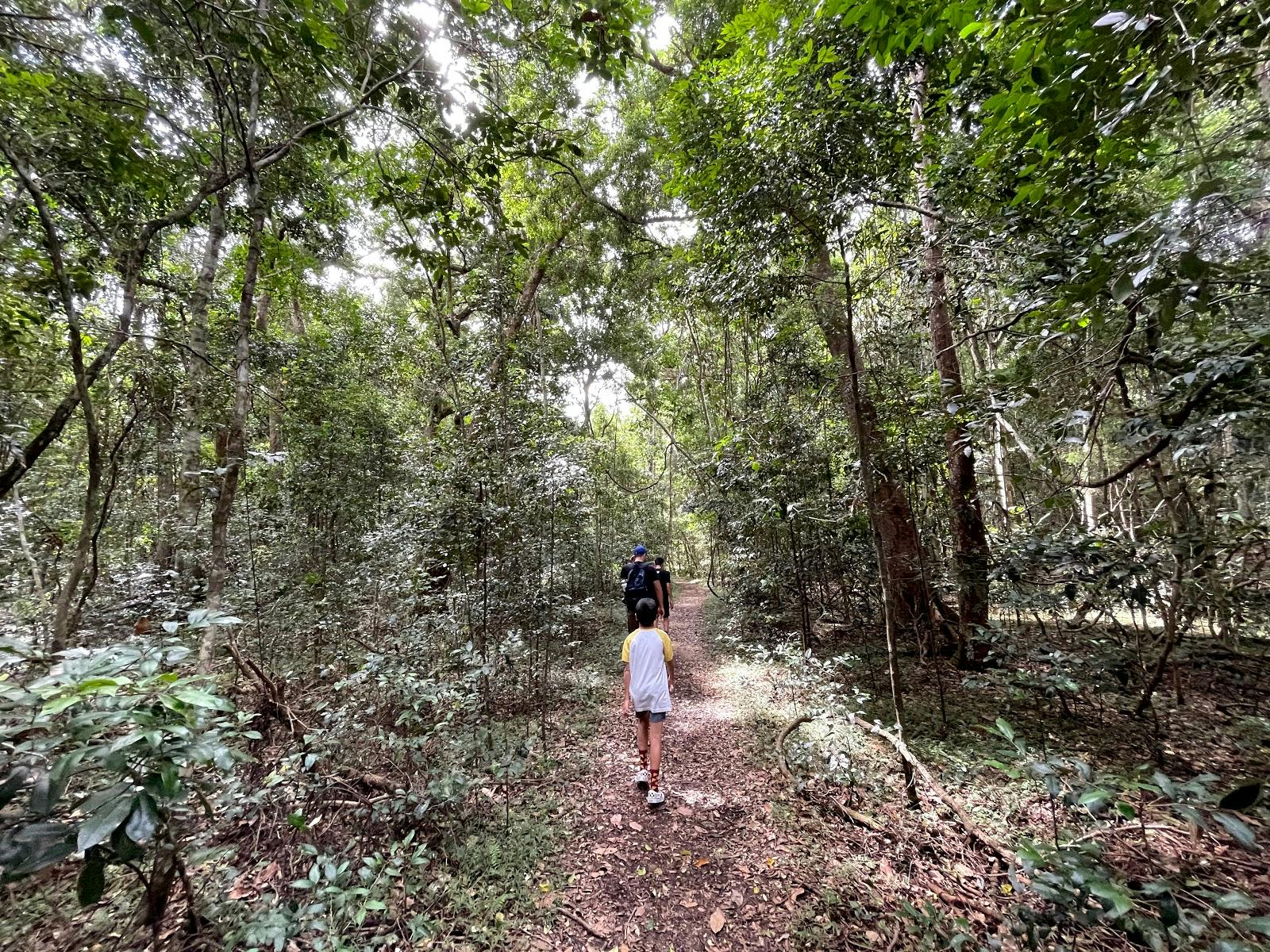 Iluka Rainforest Walk - Northern Entrance