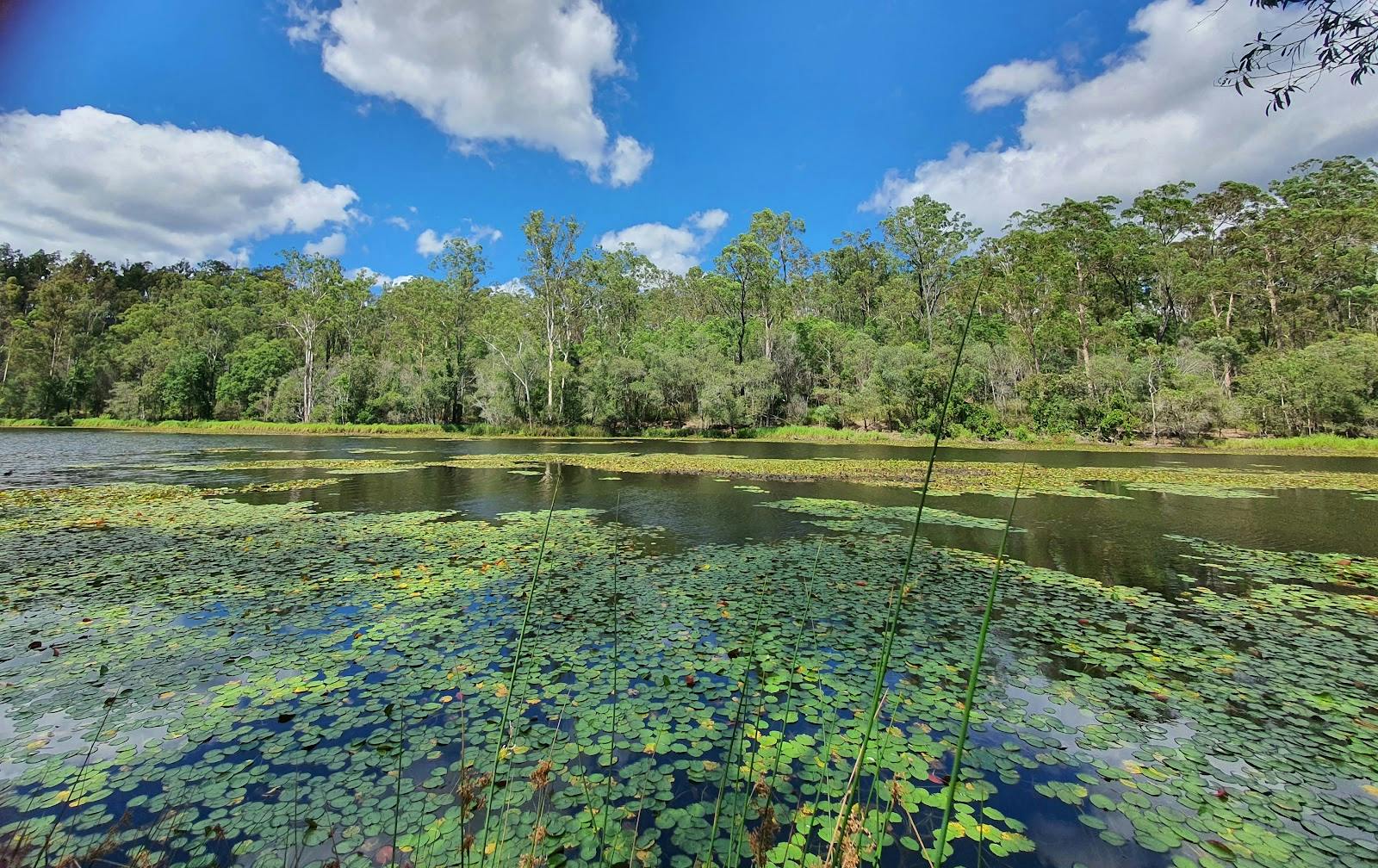 Enoggera Dam